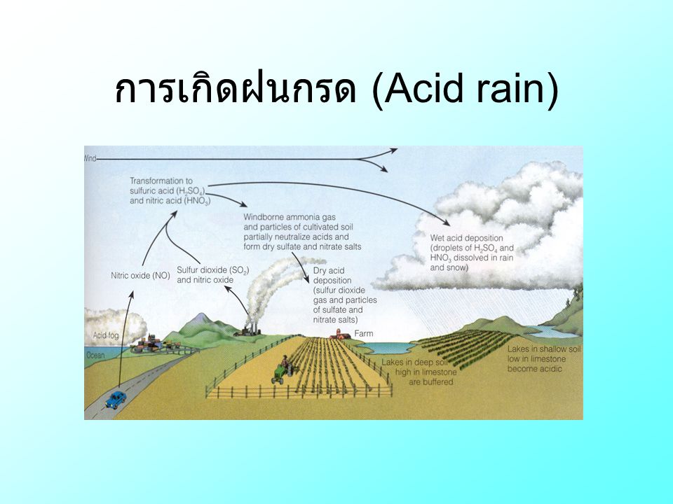 การเกิดฝนกรด (Acid rain)