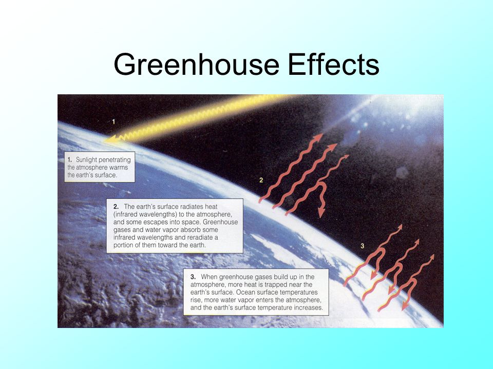 Greenhouse Effects