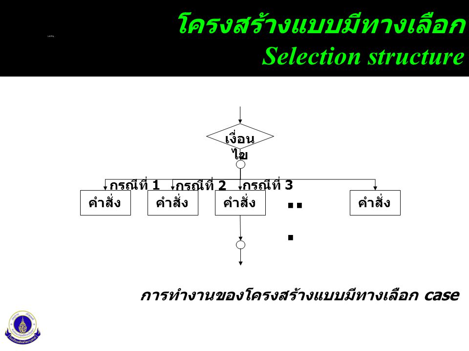 โครงสร้างแบบมีทางเลือก Selection structure