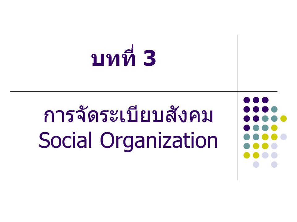 การจัดระเบียบสังคม Social Organization