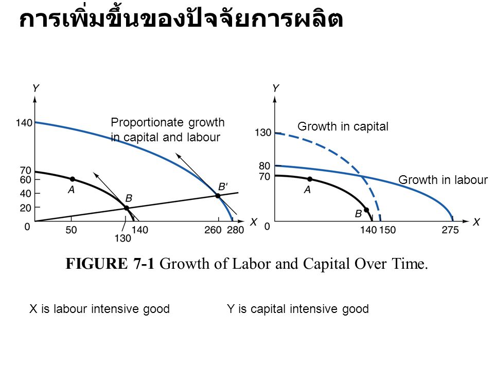 FIGURE 7-1 Growth of Labor and Capital Over Time.