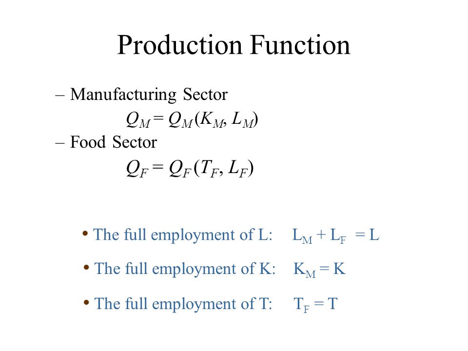 Production Function QF = QF (TF, LF) Manufacturing Sector