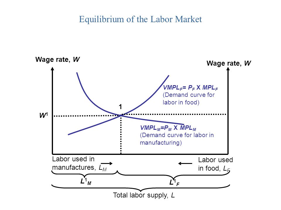 Equilibrium of the Labor Market