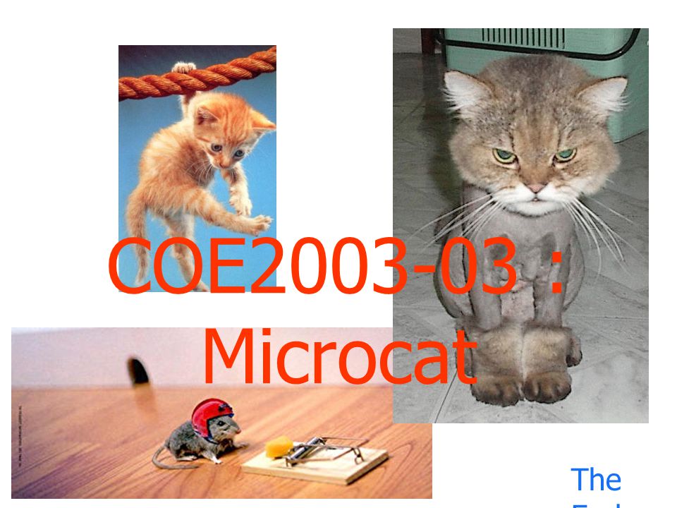 COE : Microcat The End.