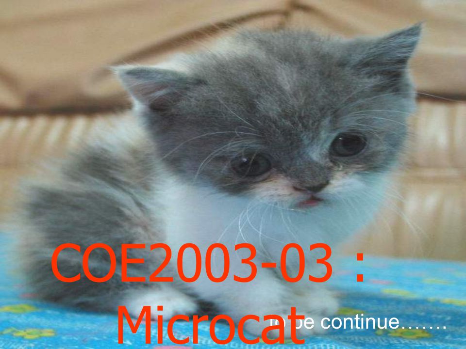 COE : Microcat to be continue…….
