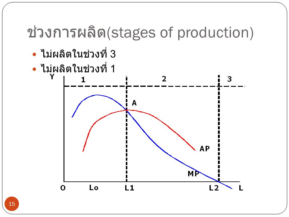ช่วงการผลิต(stages of production)