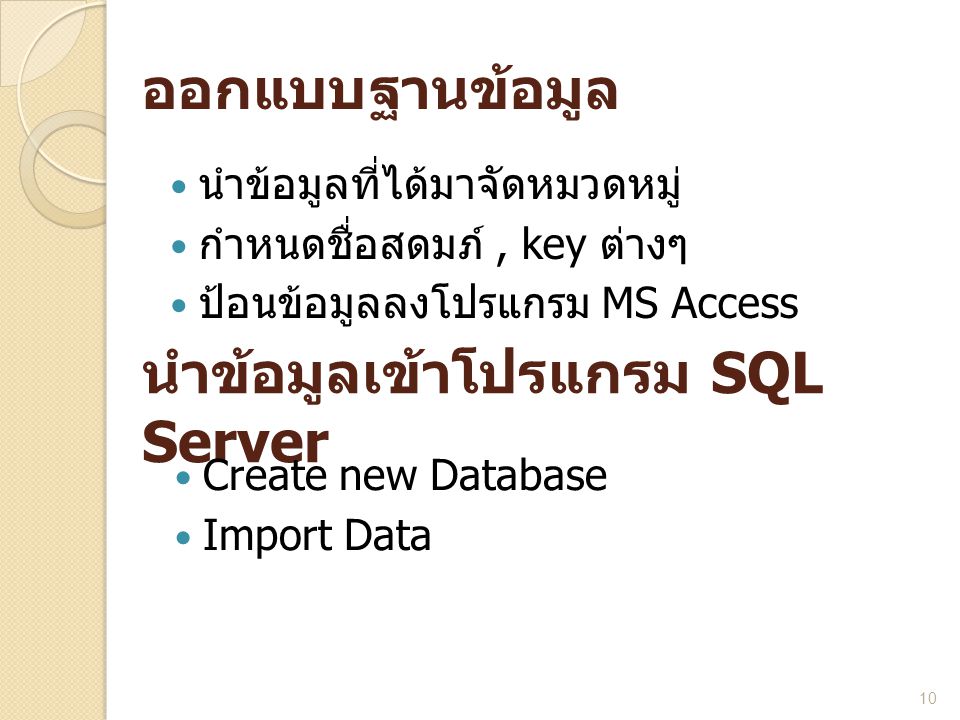 นำข้อมูลเข้าโปรแกรม SQL Server