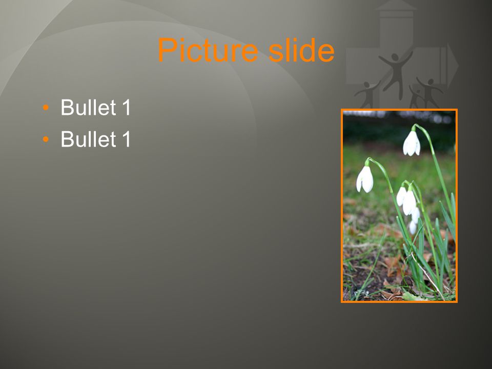 Picture slide Bullet 1