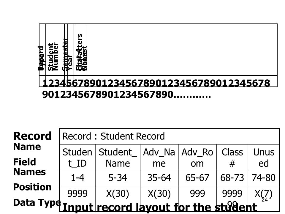 Input record layout for the student registration form