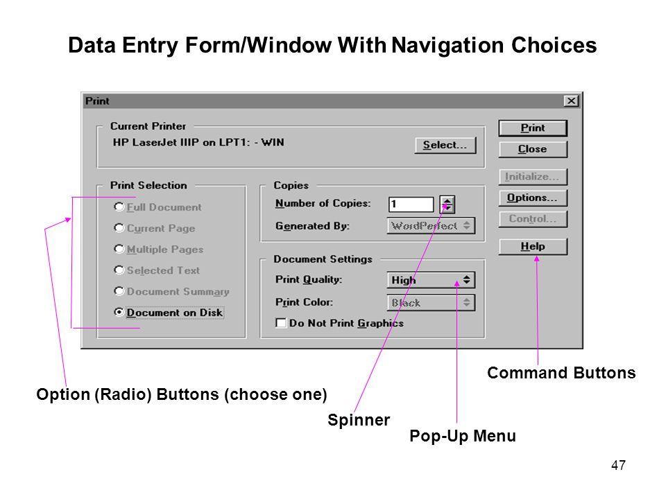 Data Entry Form/Window With Navigation Choices