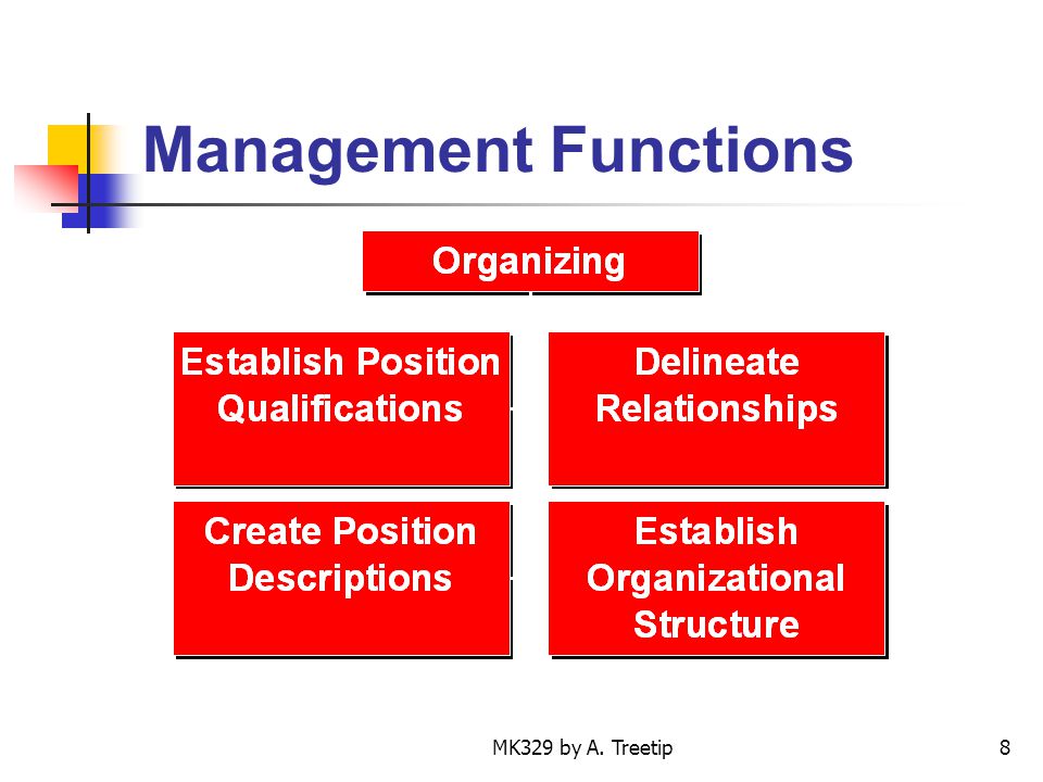 Management Functions MK329 by A. Treetip