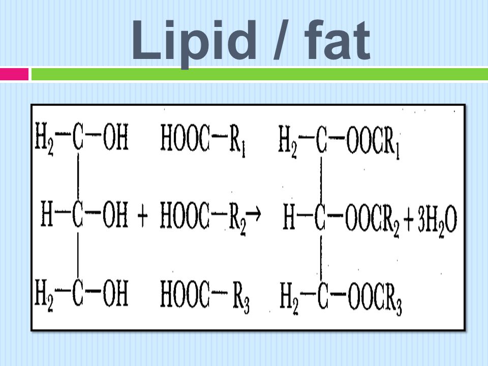 Lipid / fat