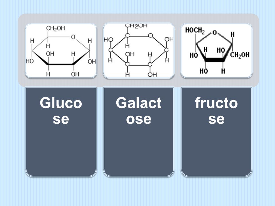 Glucose Galactose fructose