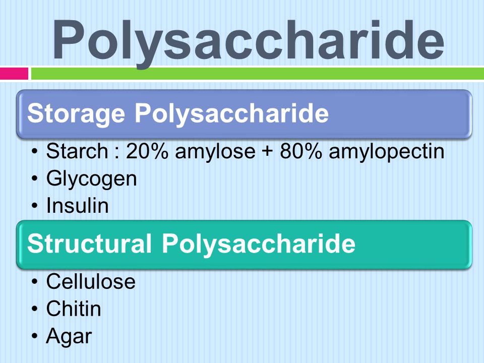 Polysaccharide Storage Polysaccharide Structural Polysaccharide