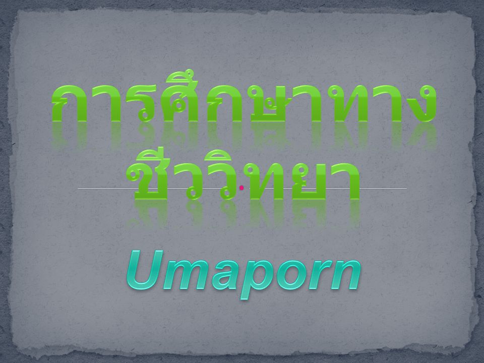 การศึกษาทางชีววิทยา Umaporn