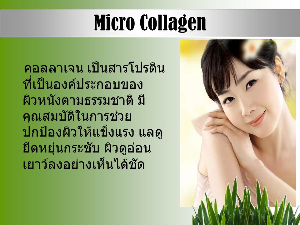Micro Collagen