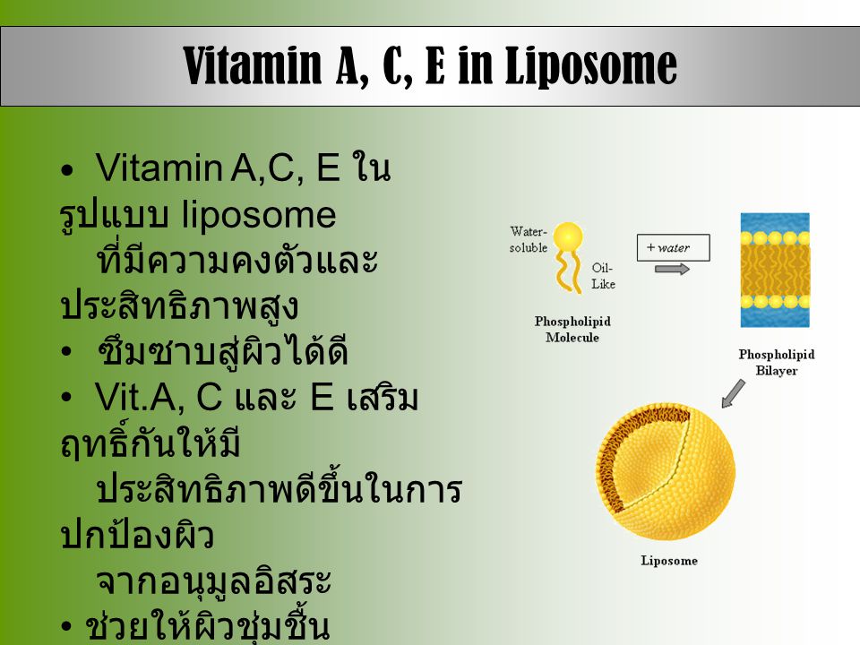 Vitamin A, C, E in Liposome