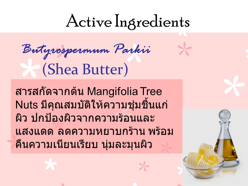 Butyrospermum Parkii (Shea Butter)