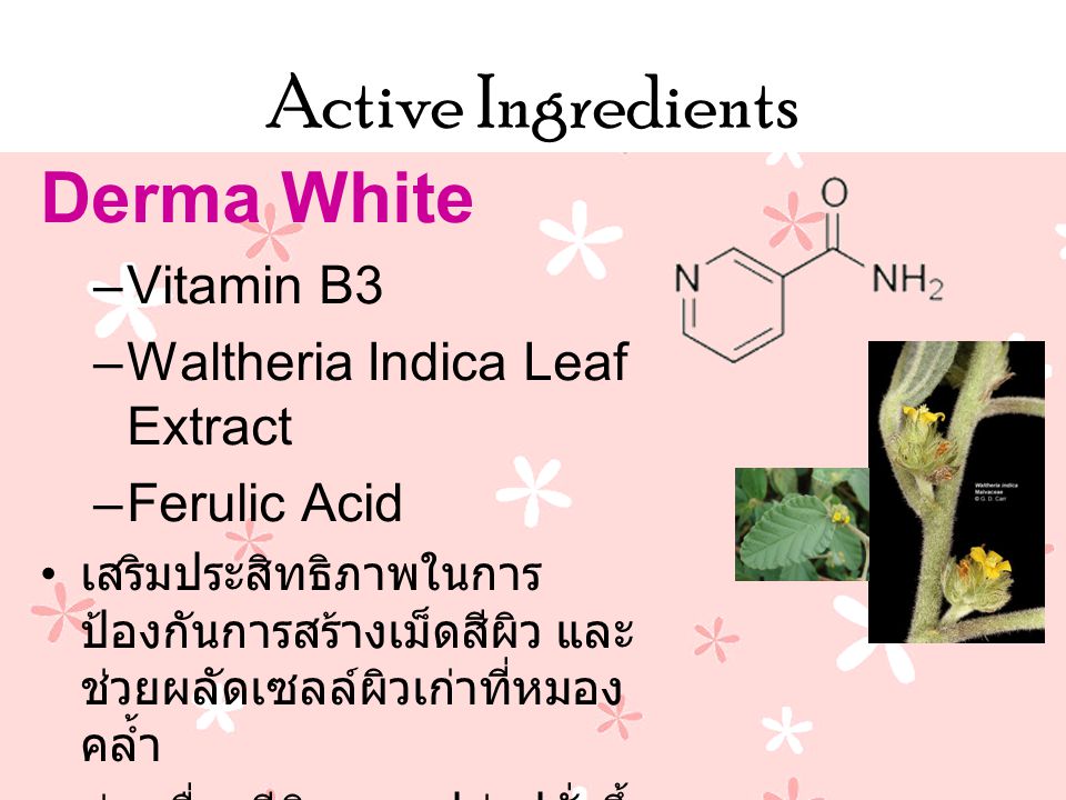 Active Ingredients Derma White Vitamin B3