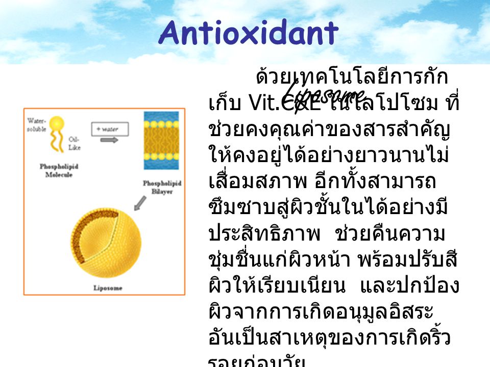 Antioxidant Liposome.