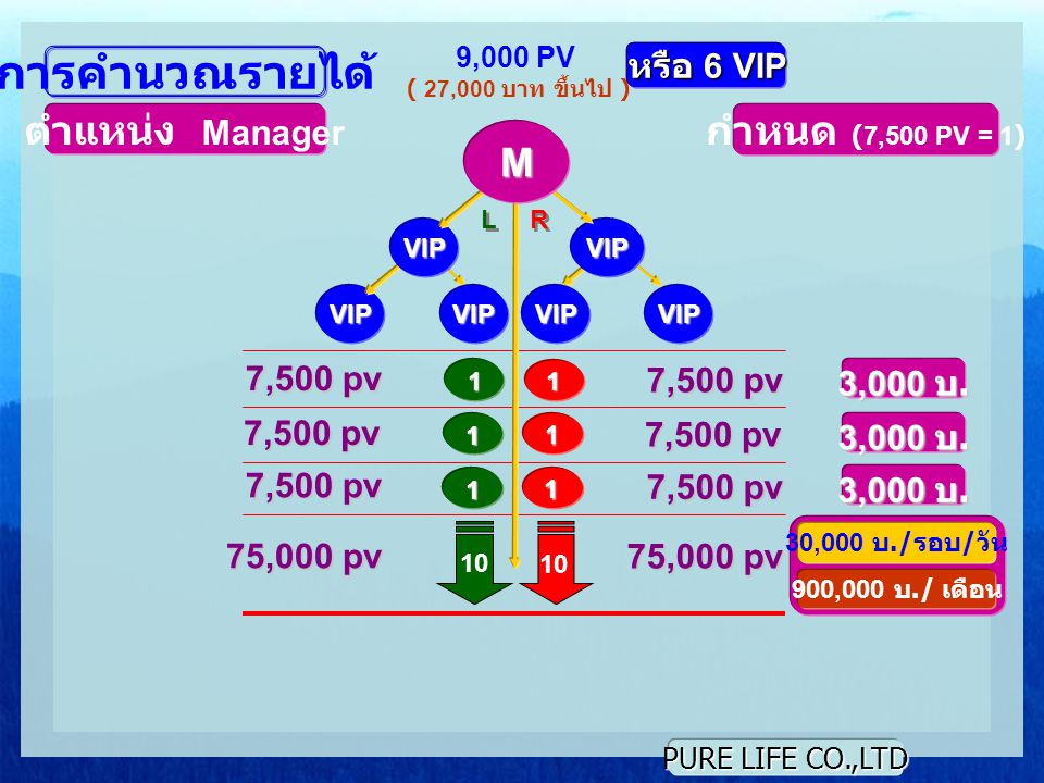 การคำนวณรายได้ ตำแหน่ง Manager กำหนด (7,500 PV = 1) M หรือ 6 VIP