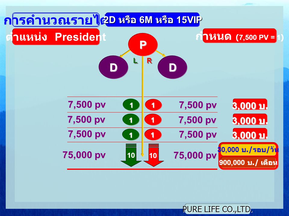 การคำนวณรายได้ ตำแหน่ง President กำหนด (7,500 PV = 1) P D D