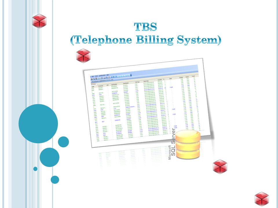 (Telephone Billing System)