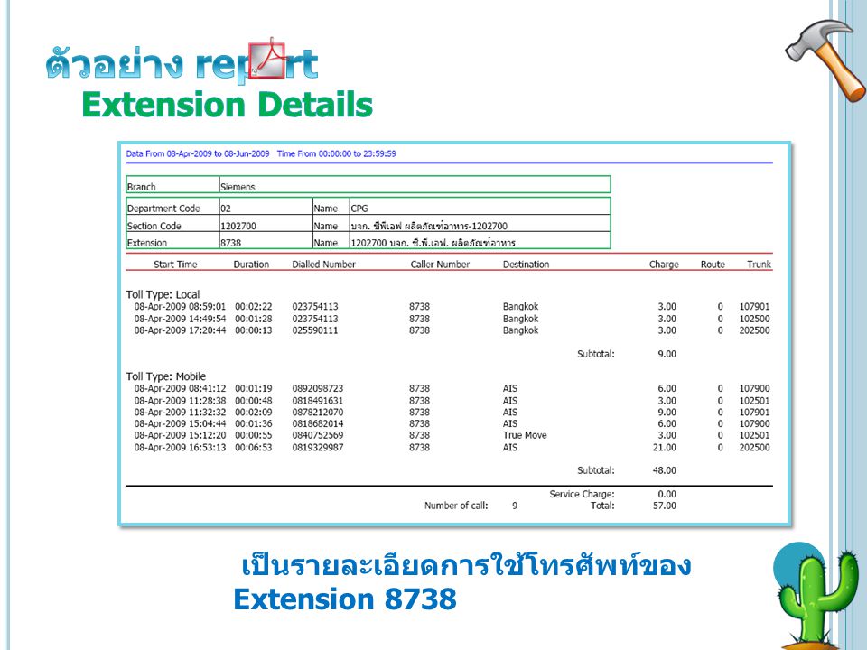 ตัวอย่าง report Extension Details