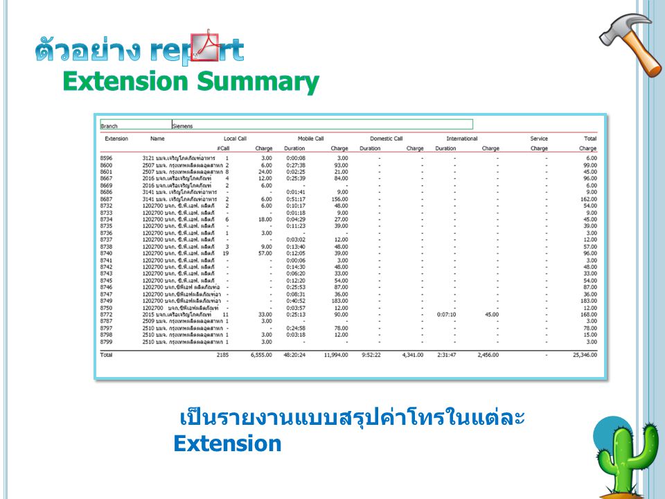 ตัวอย่าง report Extension Summary