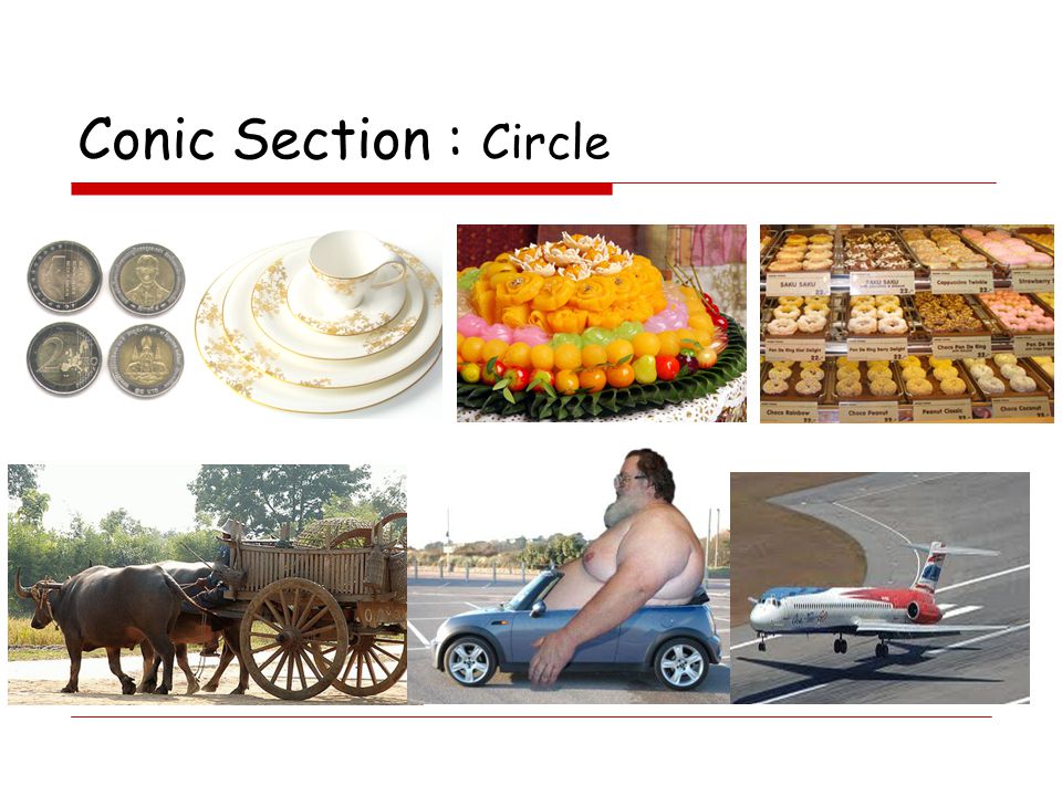 Conic Section : Circle