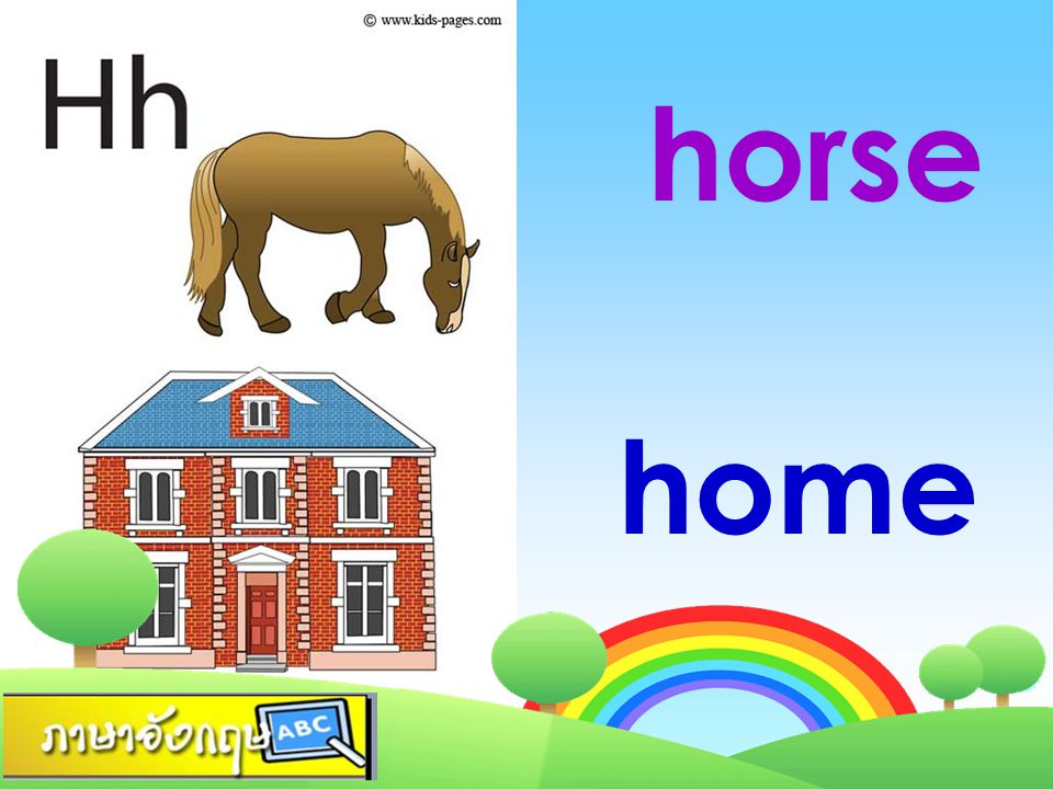 horse home