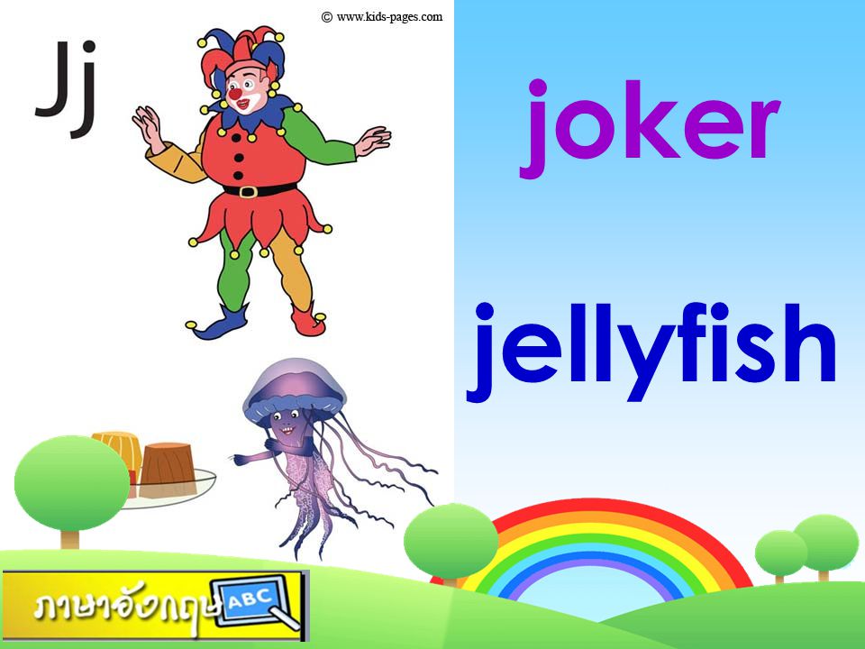 joker jellyfish