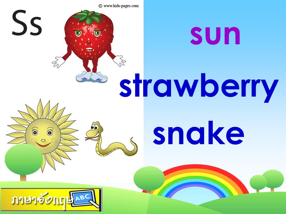 sun strawberry snake
