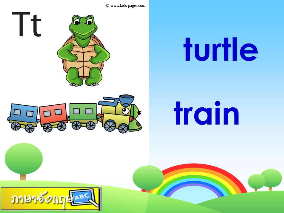 turtle train