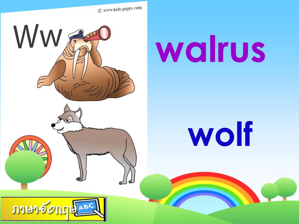 walrus wolf