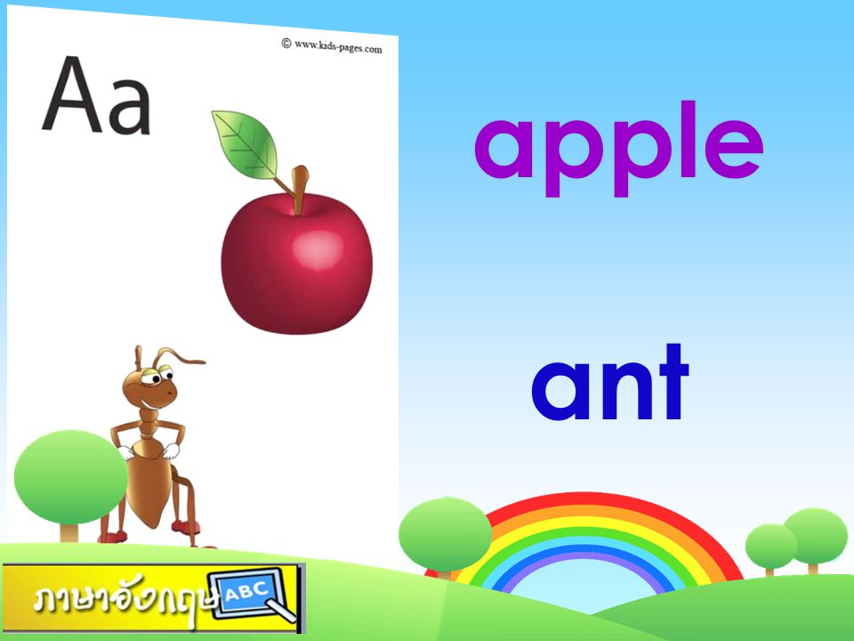 apple ant