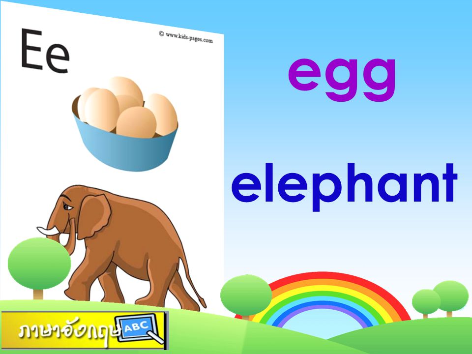 egg elephant