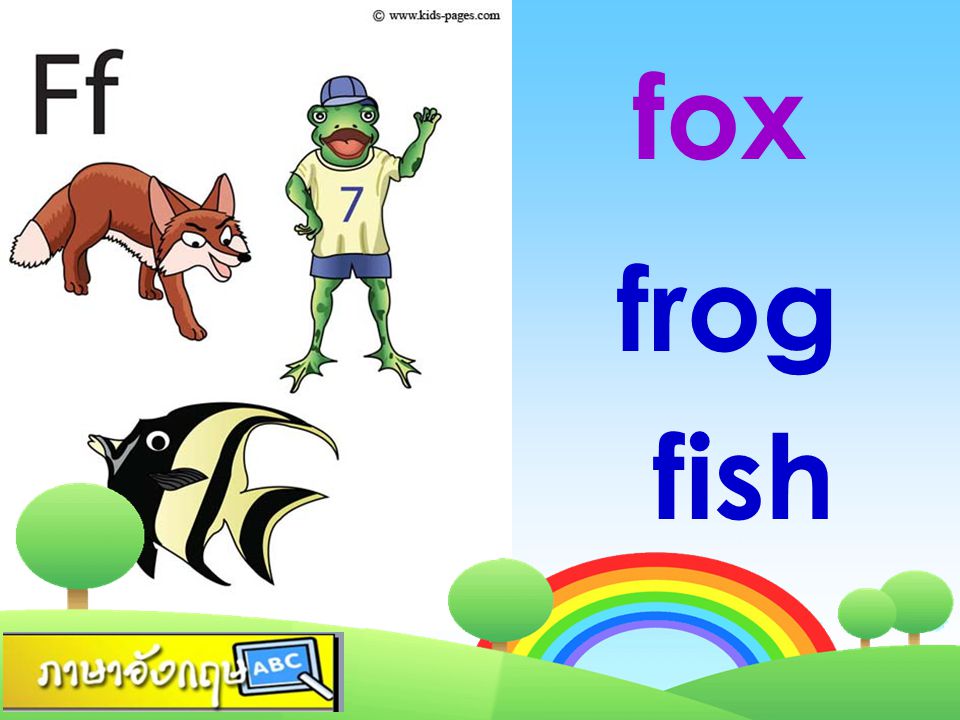 fox frog fish