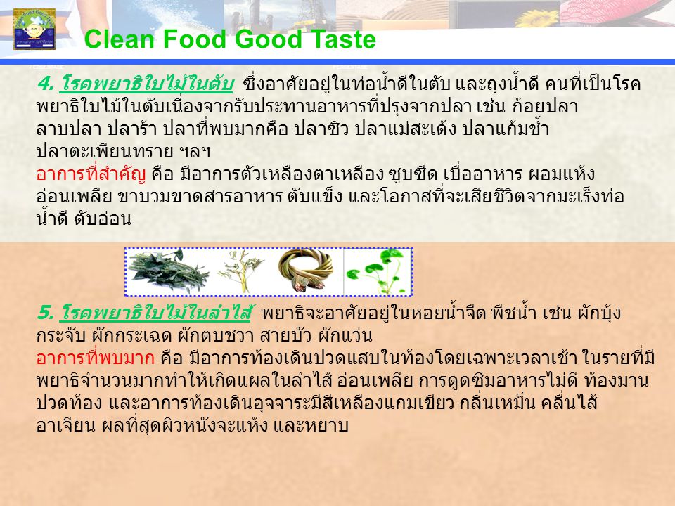 Clean Food Good Taste PERCENTAGE. PERCENTAGE.