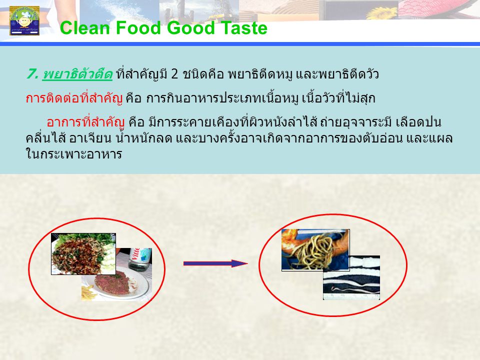 Clean Food Good Taste PERCENTAGE. PERCENTAGE. 7. พยาธิตัวตืด ที่สำคัญมี 2 ชนิดคือ พยาธิตืดหมู และพยาธิตืดวัว.