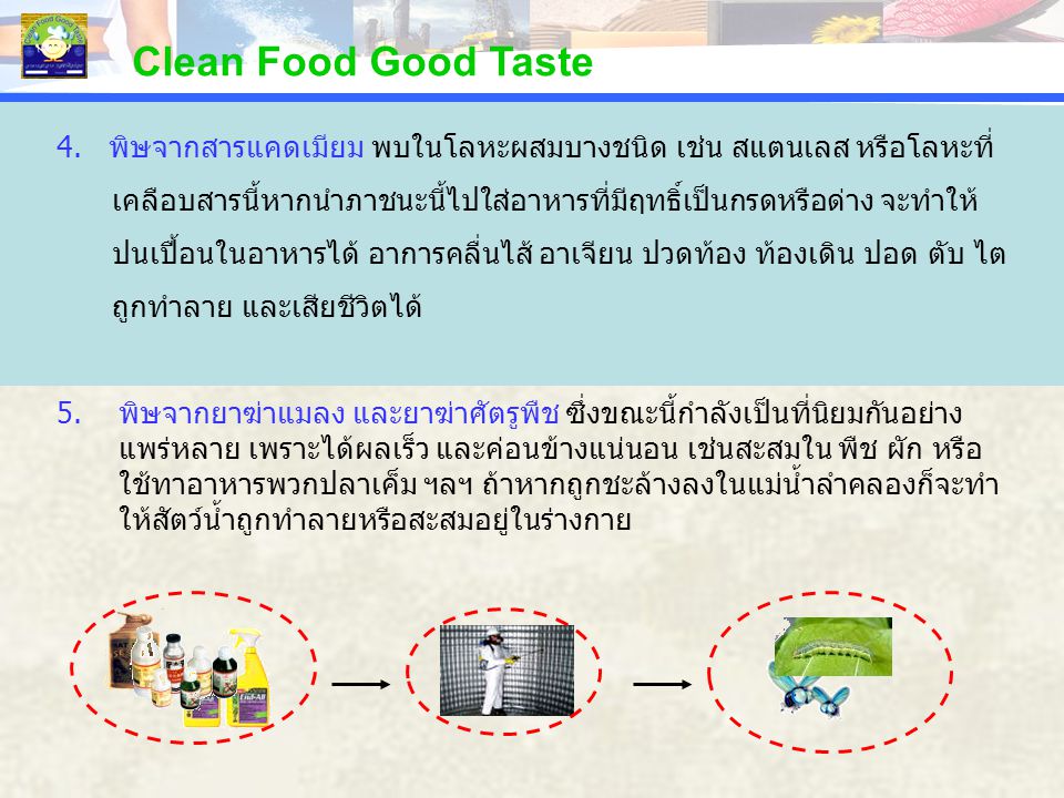 Clean Food Good Taste PERCENTAGE. PERCENTAGE. 4. พิษจากสารแคดเมียม พบในโลหะผสมบางชนิด เช่น สแตนเลส หรือโลหะที่