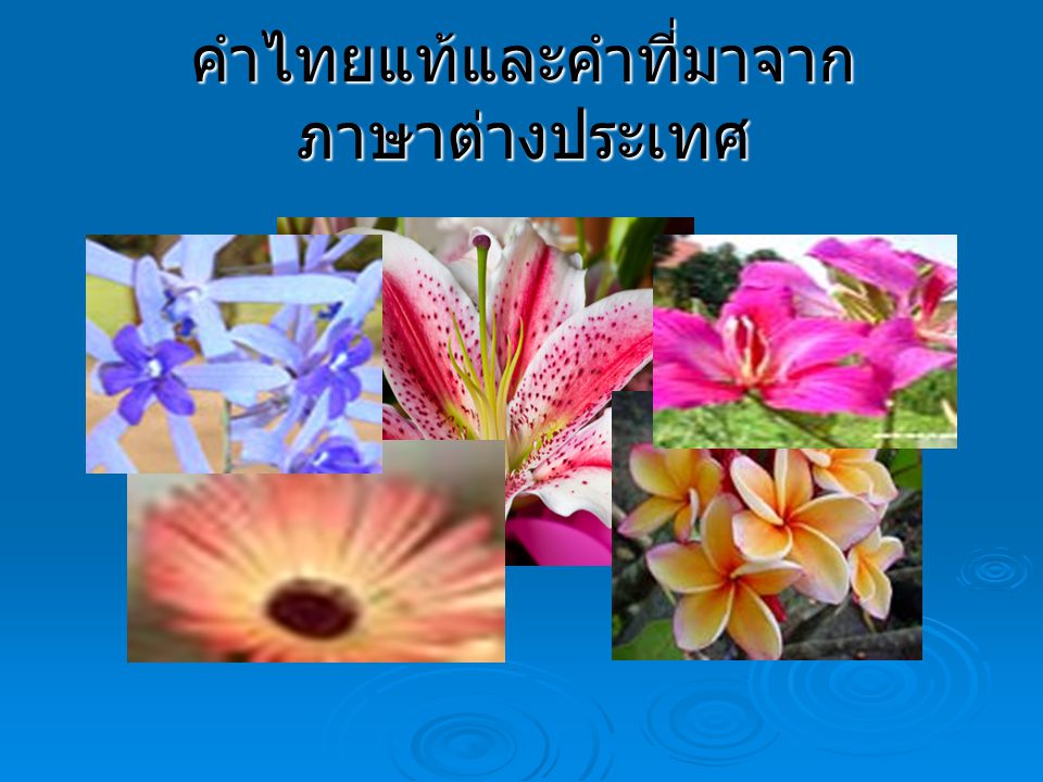 คำไทยแท้และคำที่มาจากภาษาต่างประเทศ