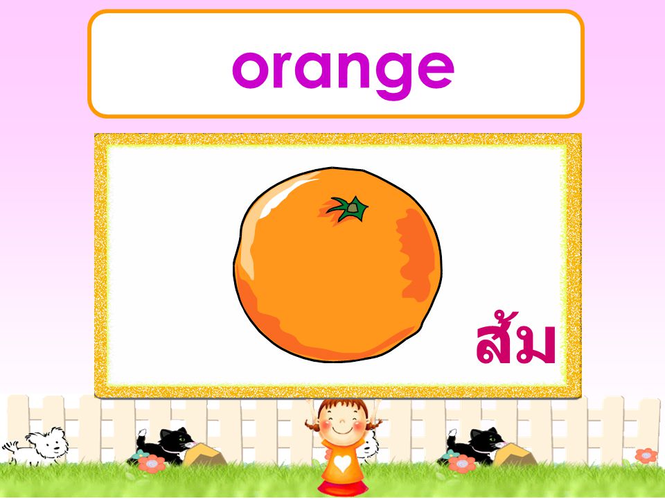 orange ส้ม