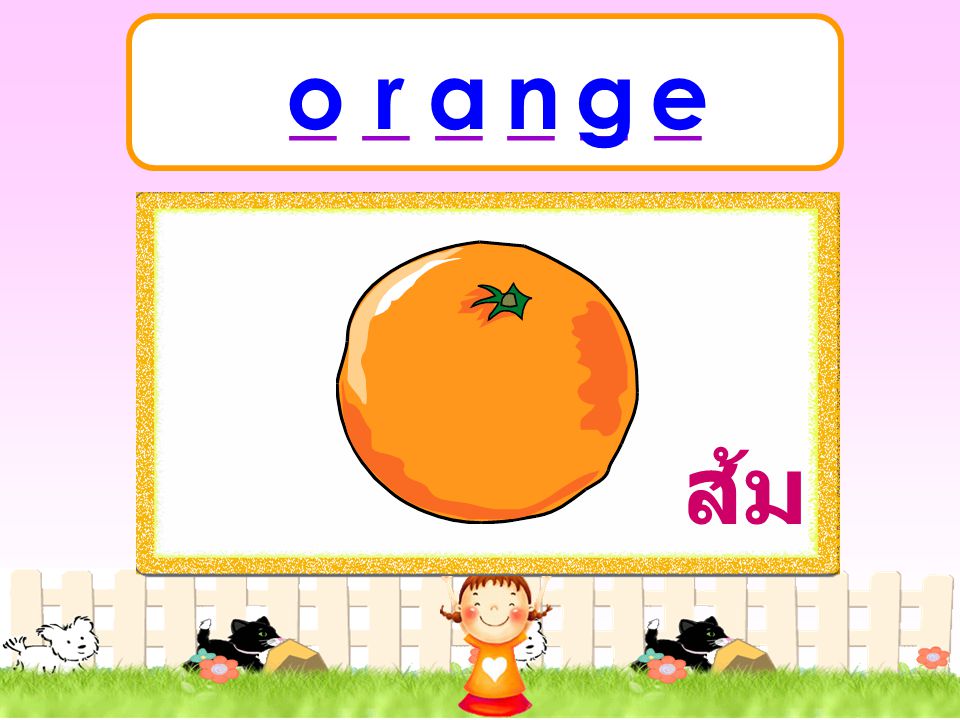 _ _ _ _ _ _ o r a n g e ส้ม