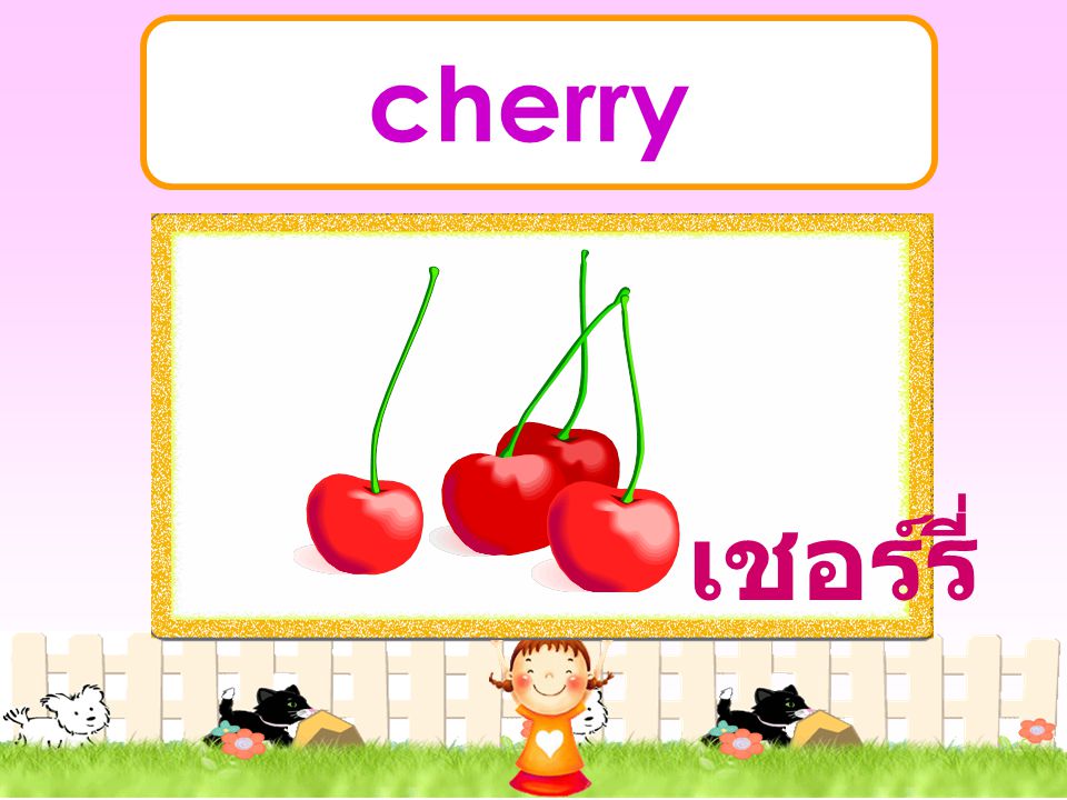 cherry เชอร์รี่
