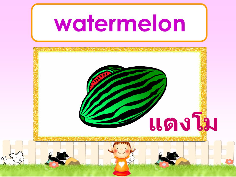 watermelon แตงโม