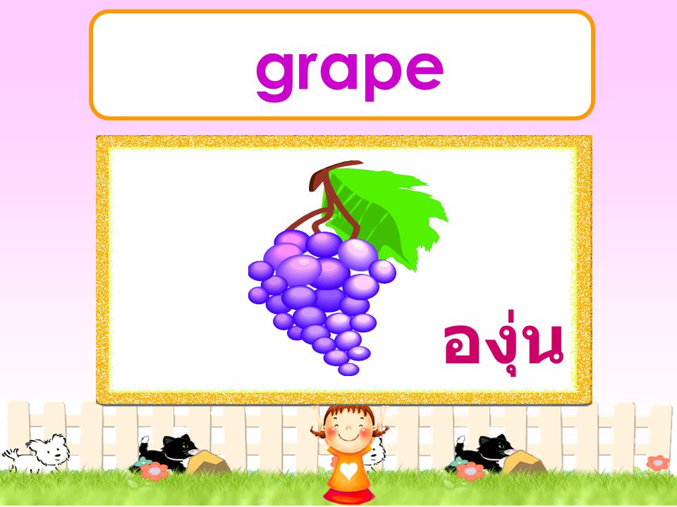 grape องุ่น