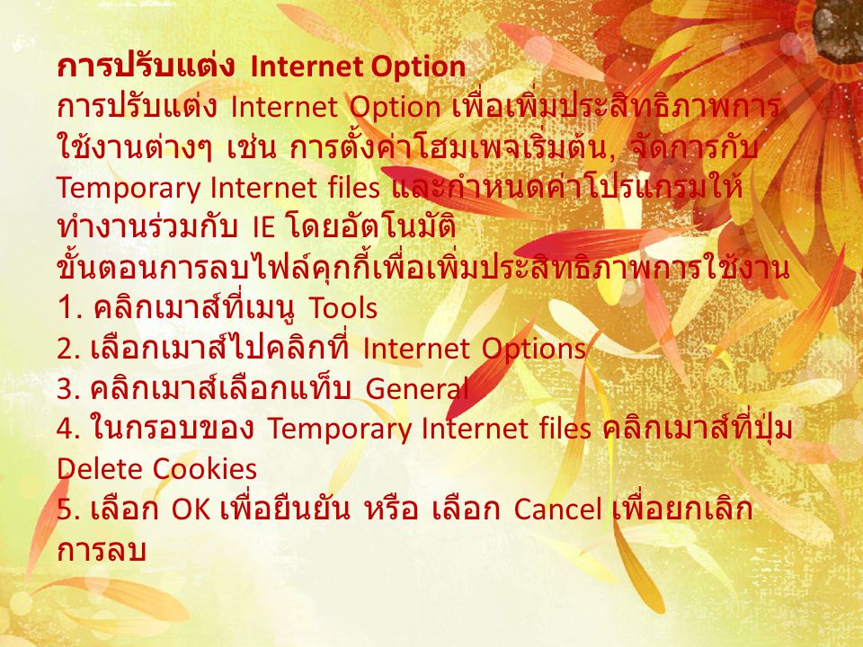 การปรับแต่ง Internet Option