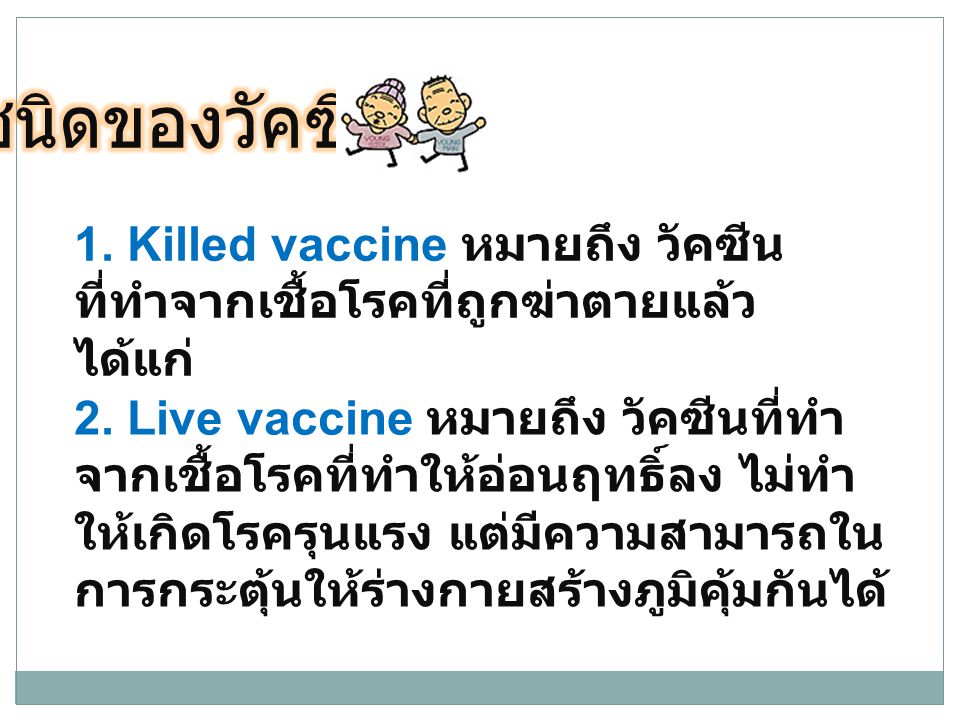 ชนิดของวัคซีน 1. Killed vaccine หมายถึง วัคซีนที่ทำจากเชื้อโรคที่ถูกฆ่าตายแล้ว ได้แก่