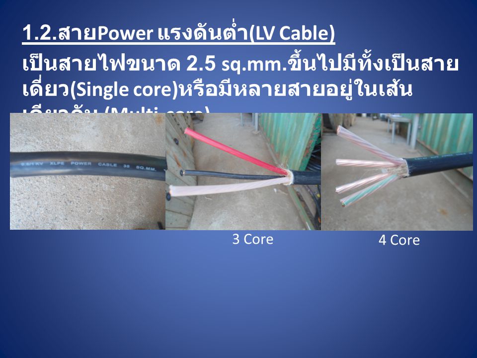 1.2.สายPower แรงดันต่ำ(LV Cable)